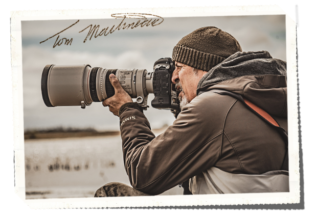 Tom Martineau